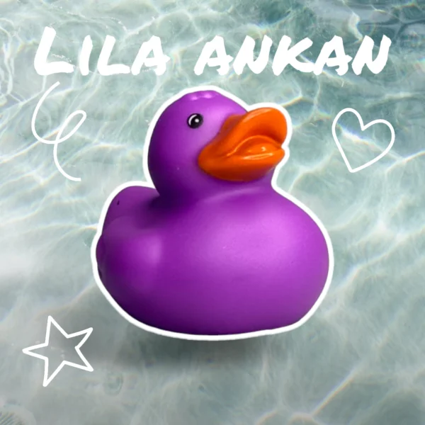 Lila Badanka - Bild 3