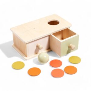 Montessori Träleksak med mynt och boll